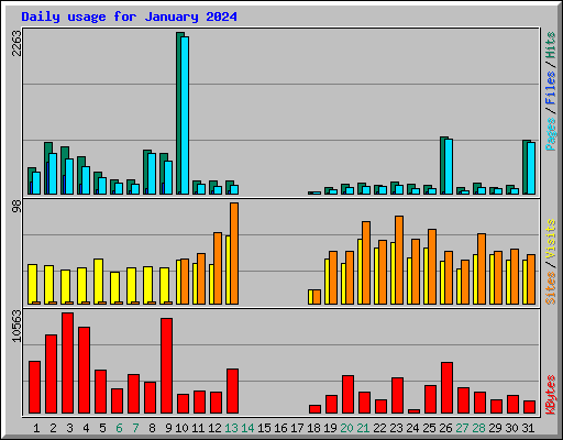 Daily usage for January 2024