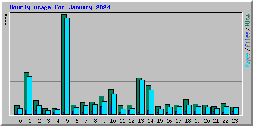 Hourly usage for January 2024