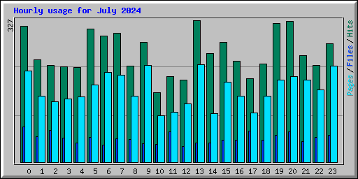 Hourly usage for July 2024