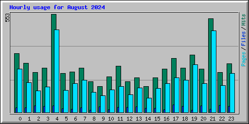Hourly usage for August 2024