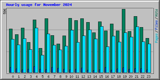 Hourly usage for November 2024