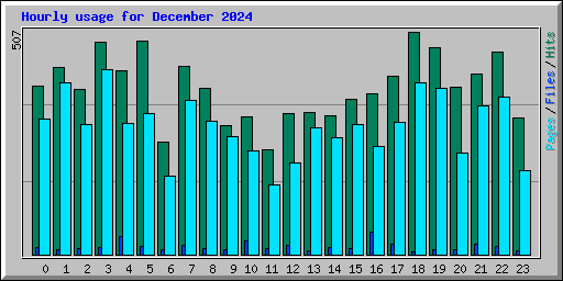 Hourly usage for December 2024