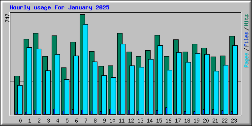 Hourly usage for January 2025