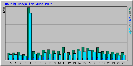 Hourly usage for June 2025