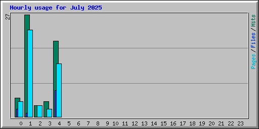 Hourly usage for July 2025