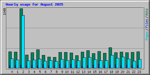 Hourly usage for August 2025