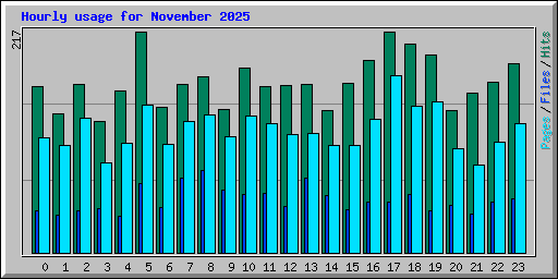 Hourly usage for November 2025